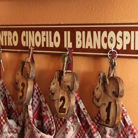 Il Biancospino Villa Casteggio Exteriör bild