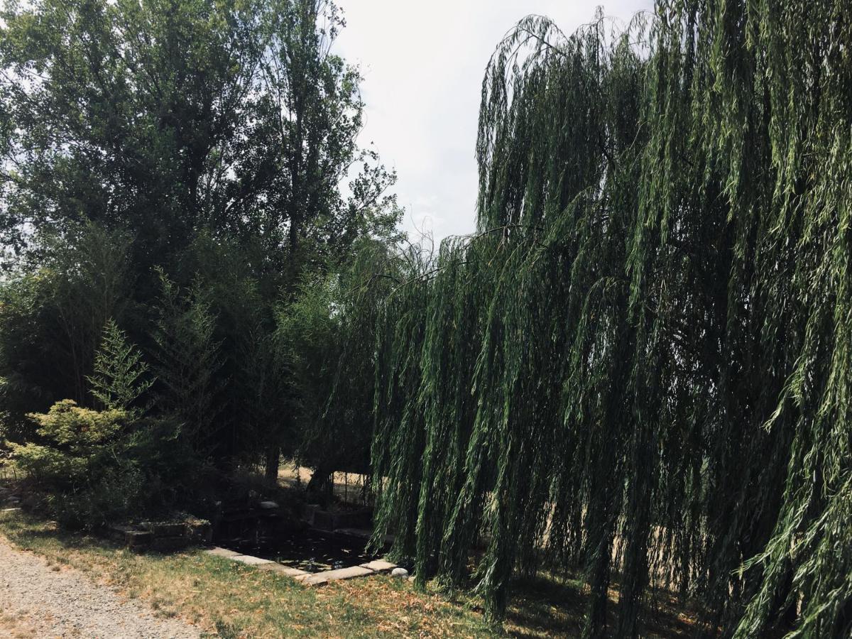 Il Biancospino Villa Casteggio Exteriör bild